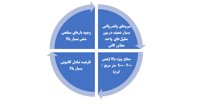 ویژگی های کانی های رسی از نوع شبکه ای منبسط شده متعلق به گروه اسمکتیت